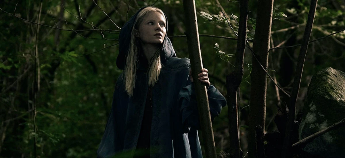 wiedźmin freya allan