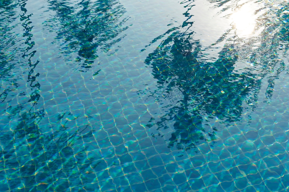 schafter swimming