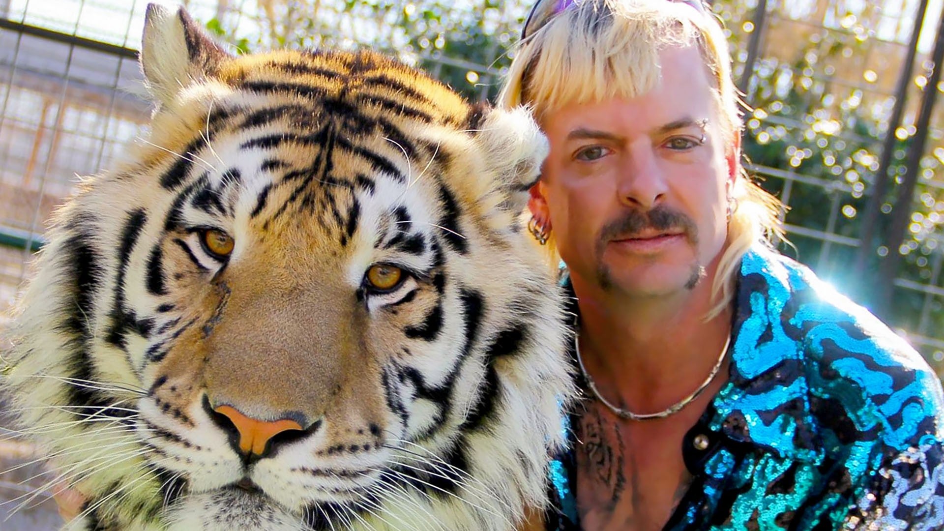 tiger king krol tygrysow netflix recenzja