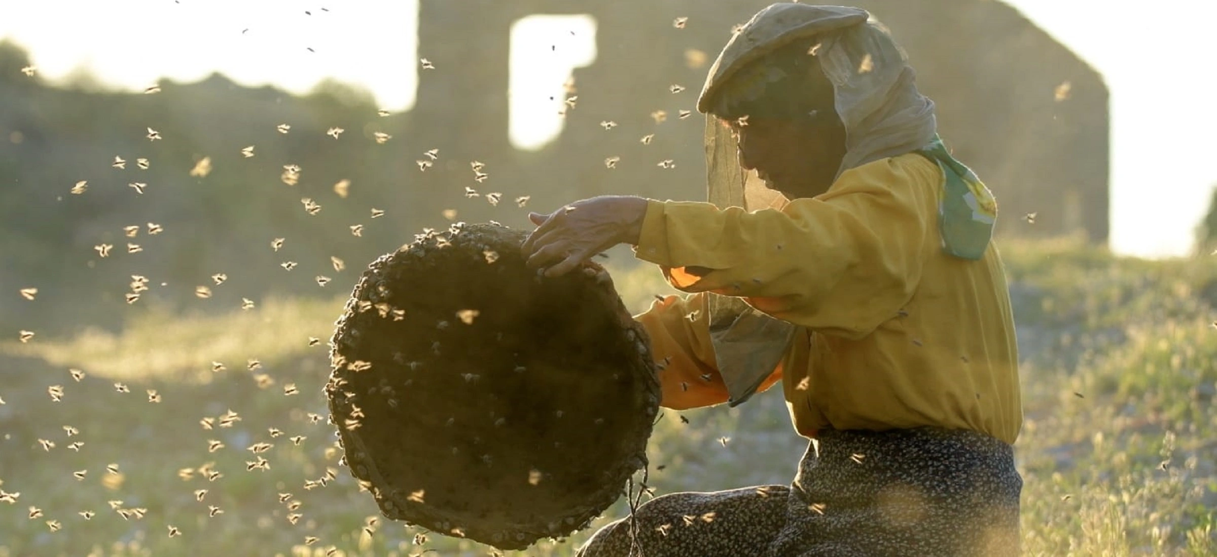 docs against gravity filmy