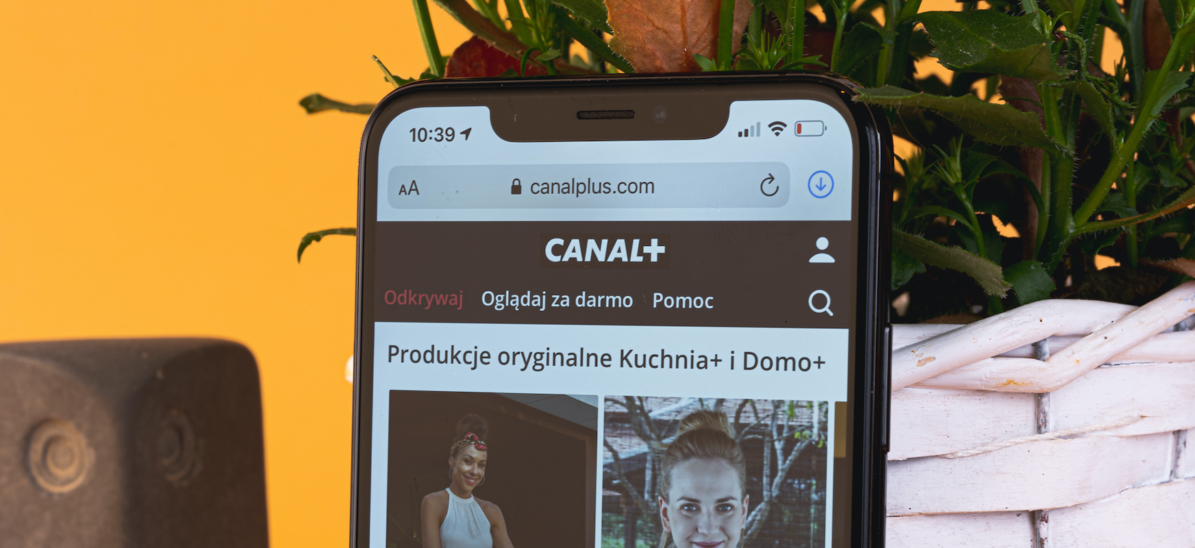 canal-plus vod przez internet class="wp-image-405412" 