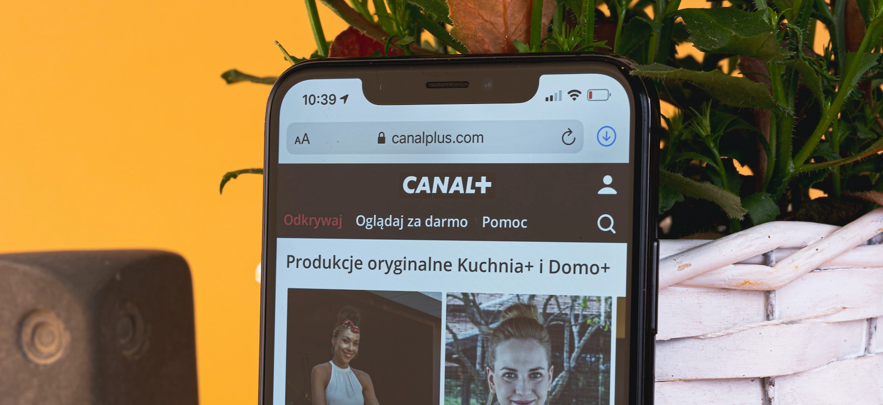 canal-plus vod przez internet