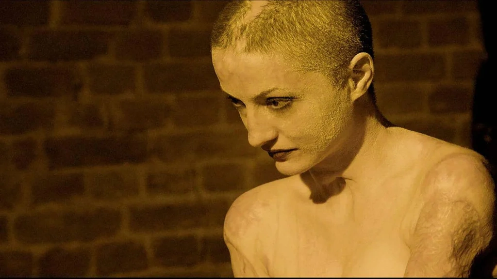 colectiv film 