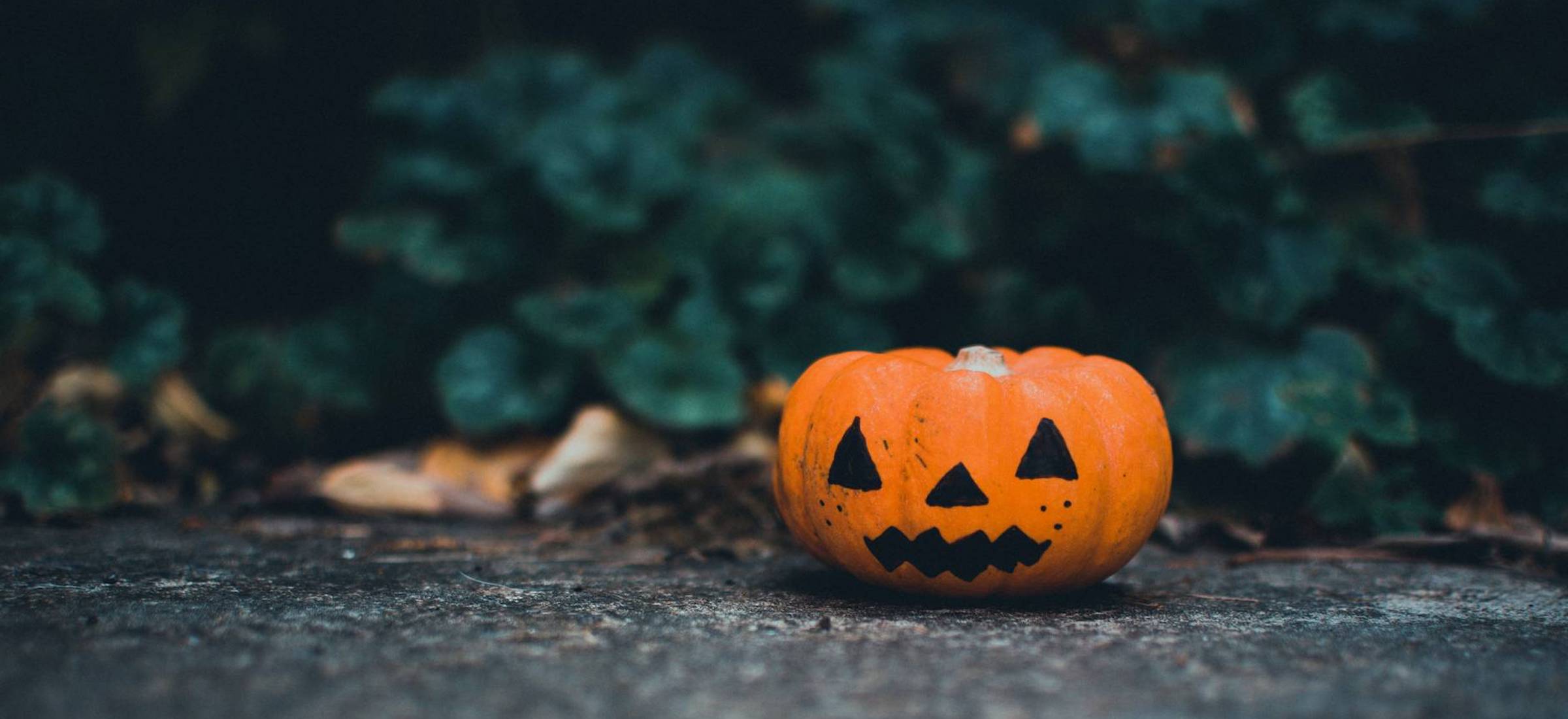 komisja sejmowa petycja halloween penalizacja