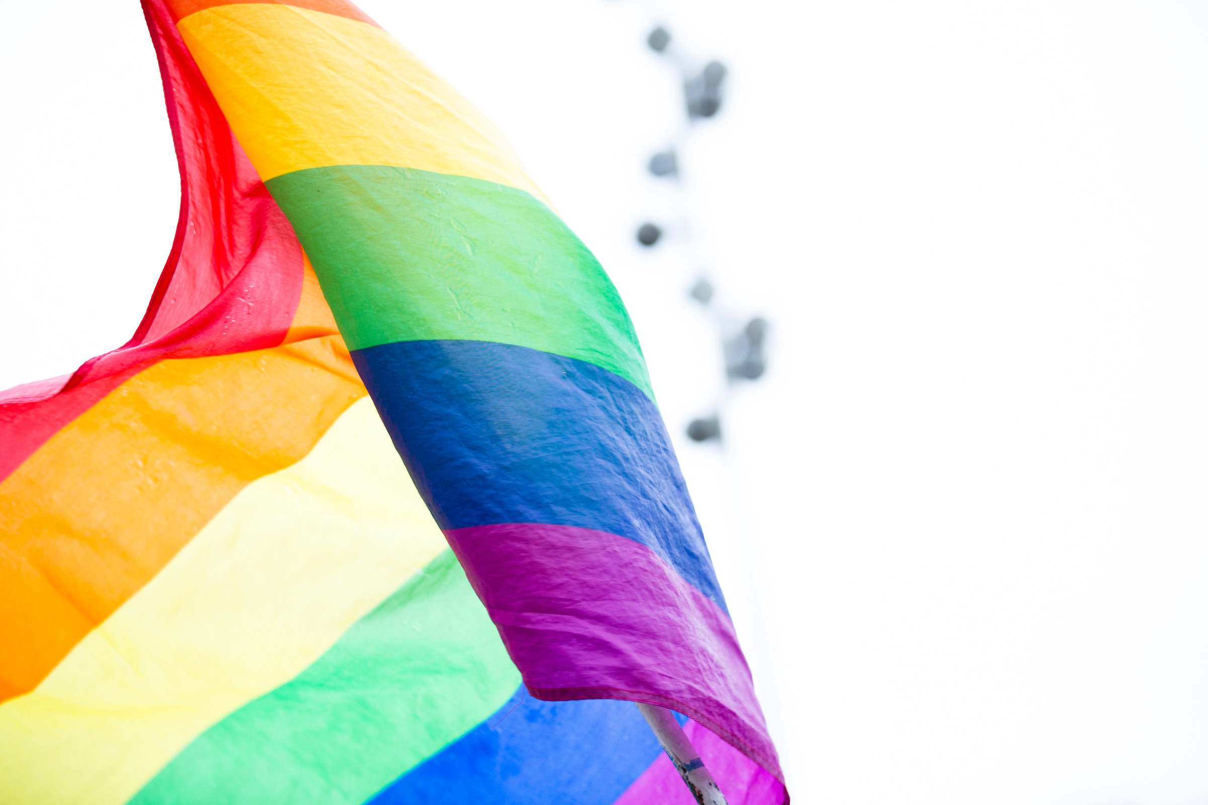 list w obronie lgbt w polsce holland almodovar
