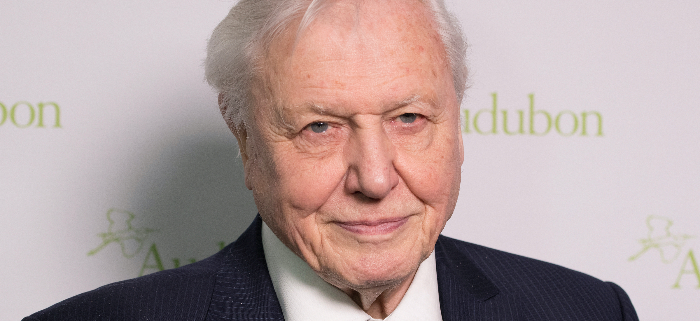 David Attenborough Instagram nasza planeta