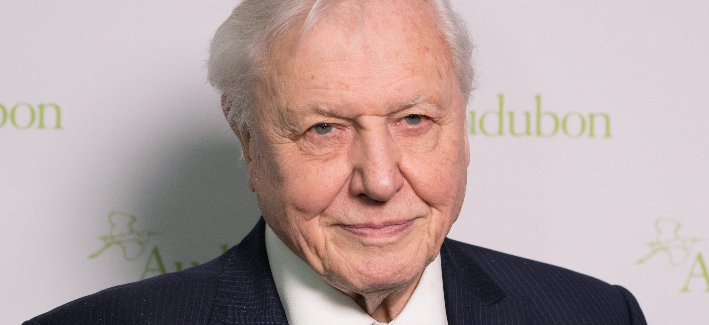 David Attenborough Instagram nasza planeta