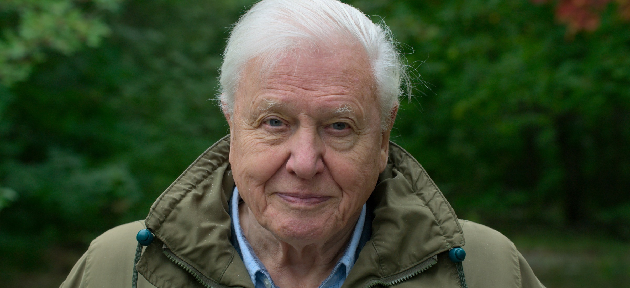 David Attenborough: Życie na naszej planecie. Oceniamy dokument