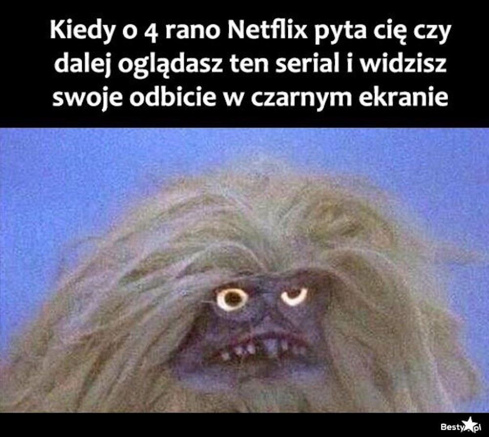 mem czy nadal ogladasz netflix are you still there meme 