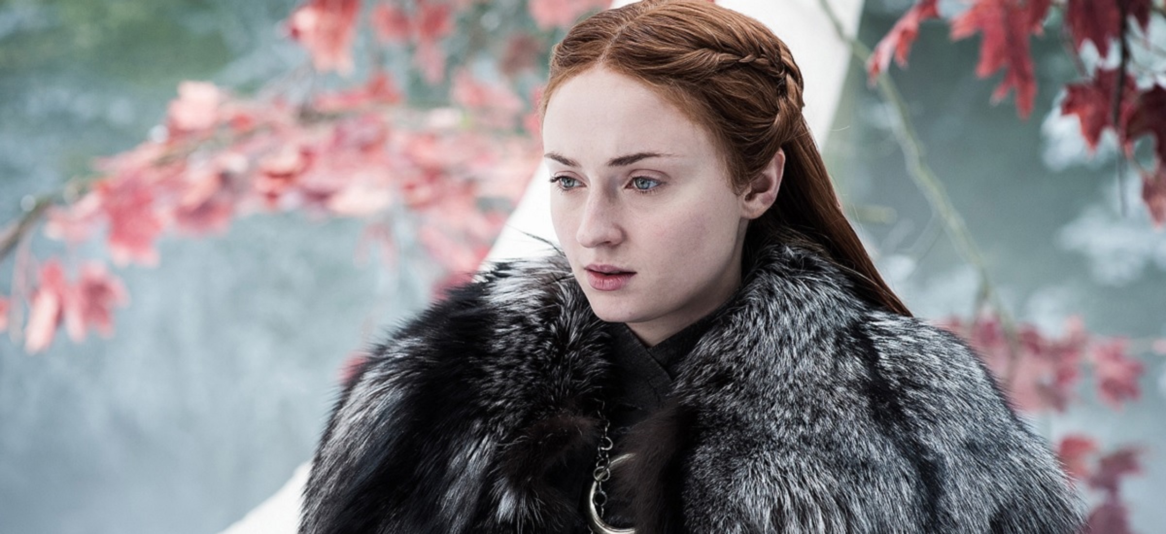 sophie turner hbo