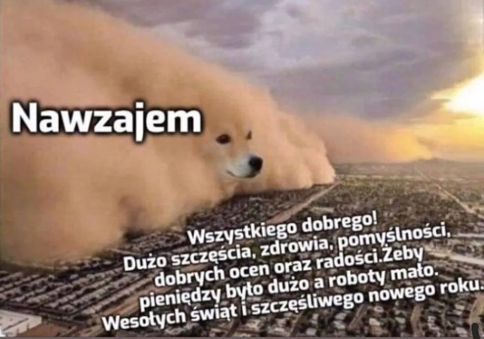 mem 6 class="wp-image-477598"