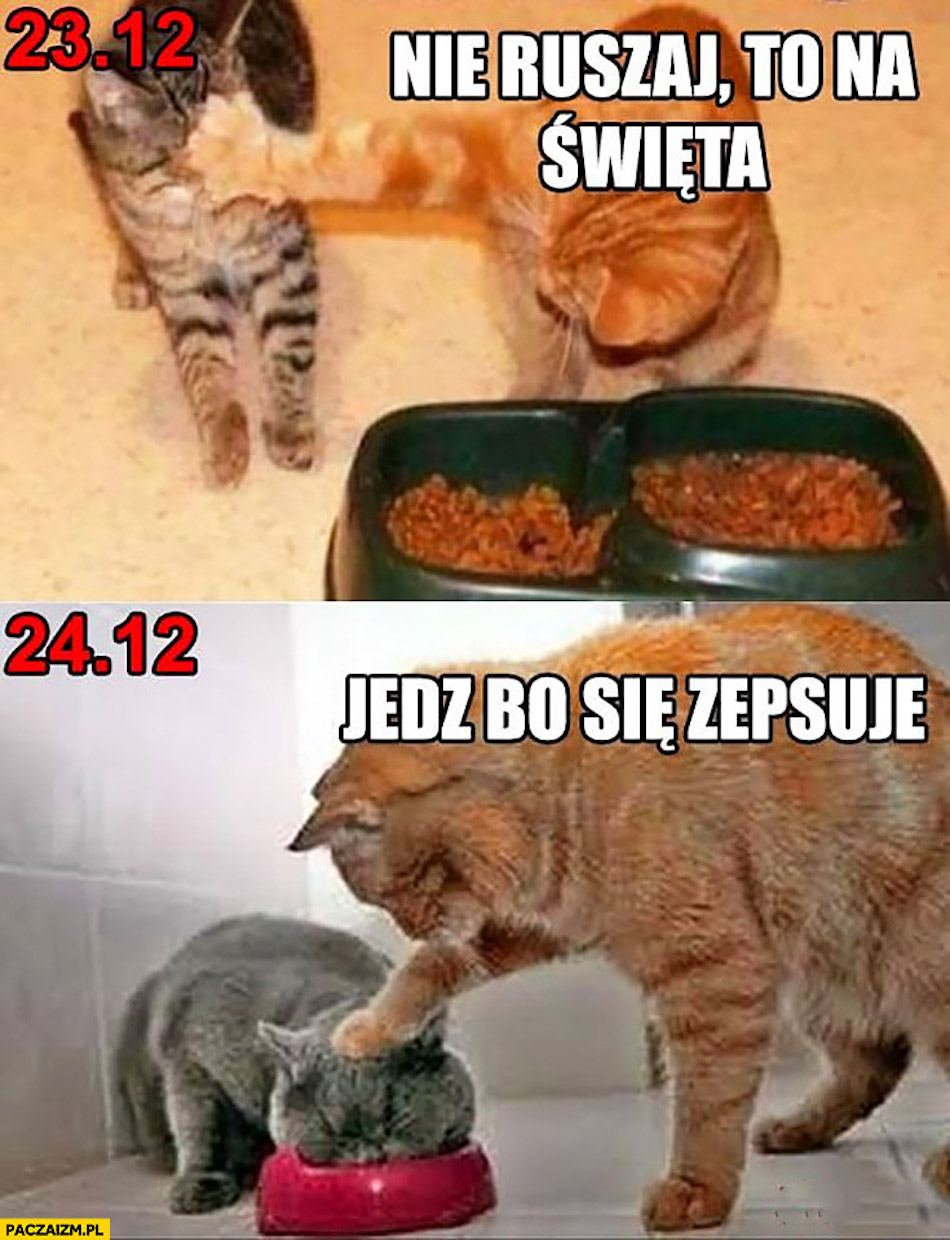 mem 1 class="wp-image-477535" 