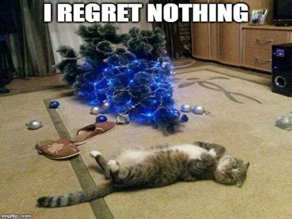 mem 2 class="wp-image-477550" 