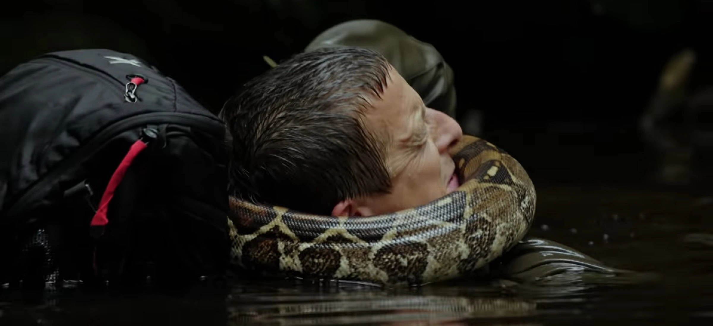 bear grylls netflix