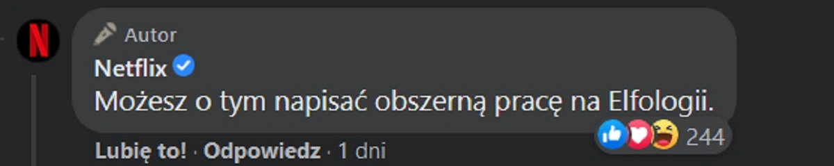 wiedźmin netflix class="wp-image-487810" 