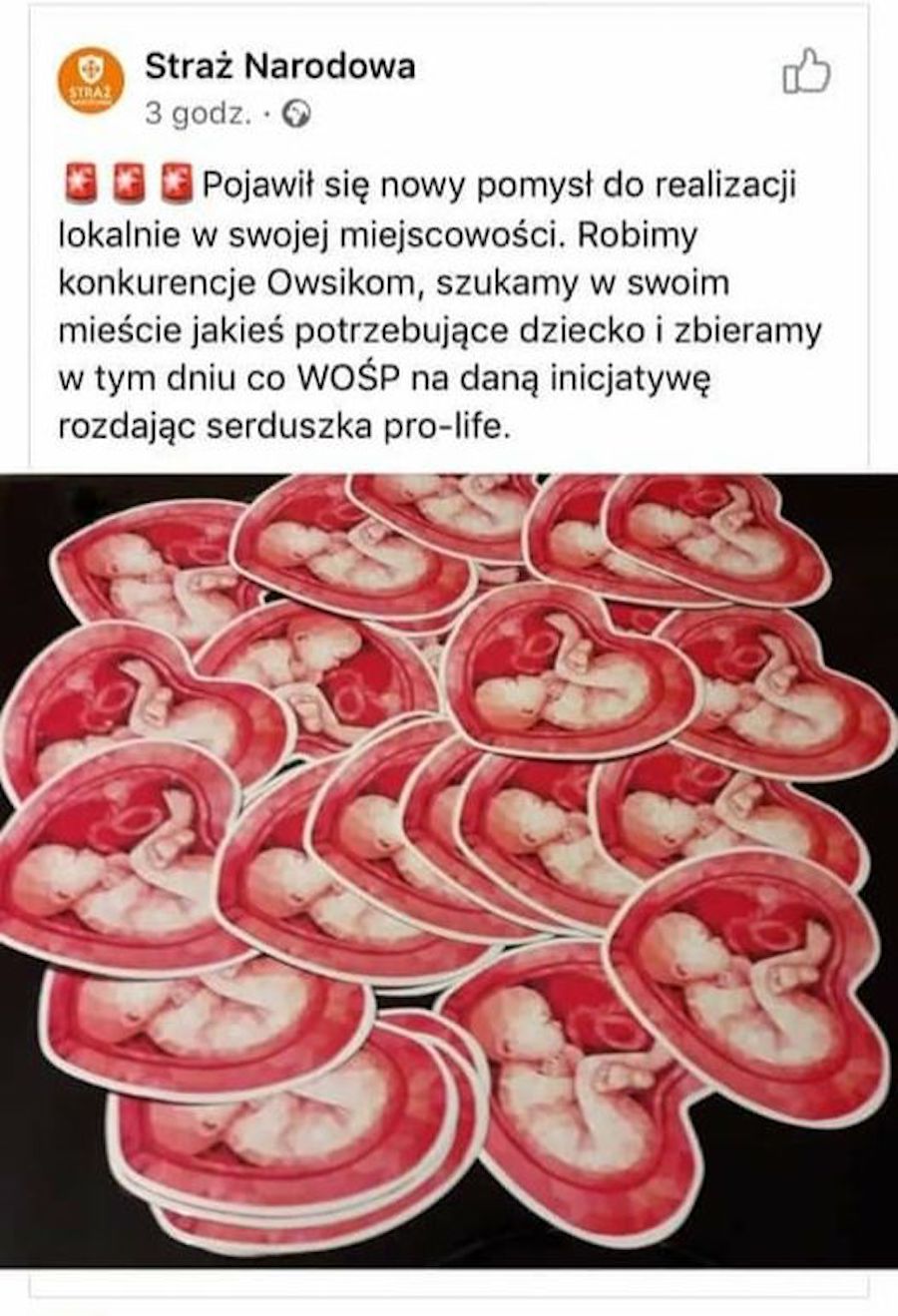 straz narodowa wosp prolife class="wp-image-481924" 