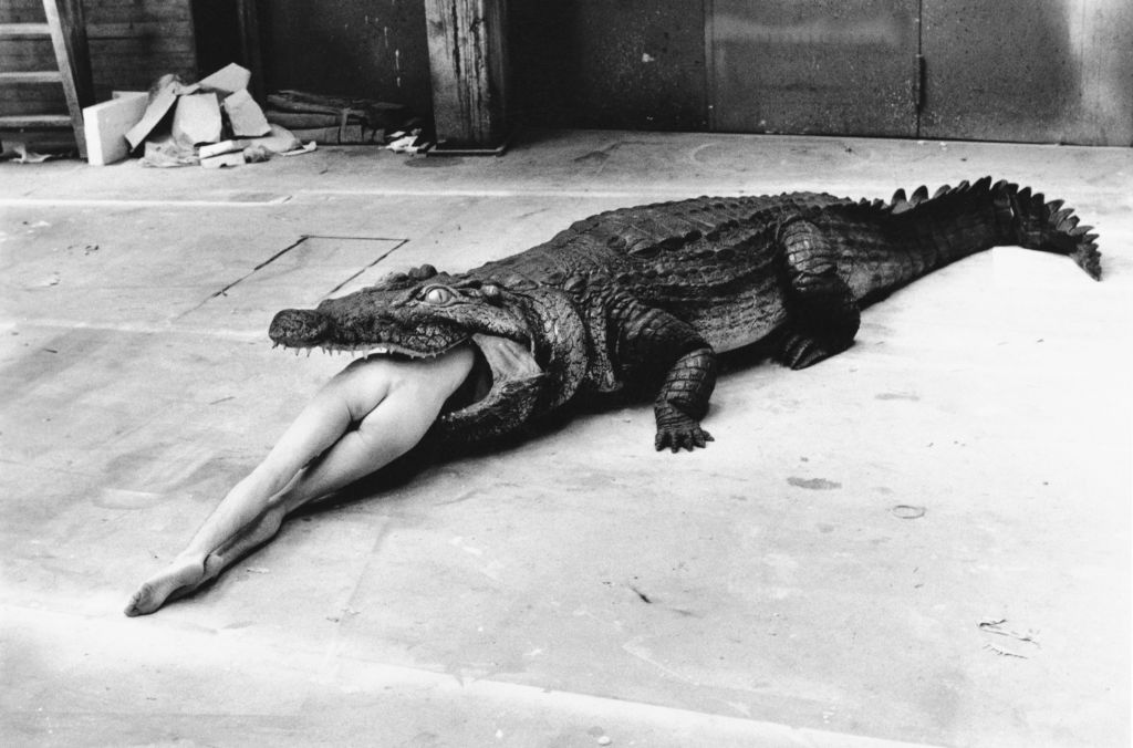 helmut newton dokument recenzja class="wp-image-493540"