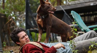Dylan O'Brien walczy z potworami w pełnym akcji zwiastunie filmu „Miłość i potwory”