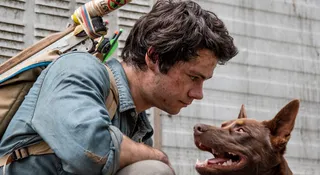 Dzika przygoda w rytmie postapo. Netflix dowozi nowe sci-fi — „Miłość i potwory”