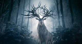 Fantasy „Cień i kość” już wkrótce na Netfliksie. Co obejrzysz w nowym tygodniu?