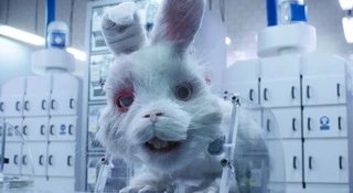 Taika Waititi namawia, aby ratować Ralpha. „Save Ralph” to opowieść o losie zwierząt, na których testuje się kosmetyki