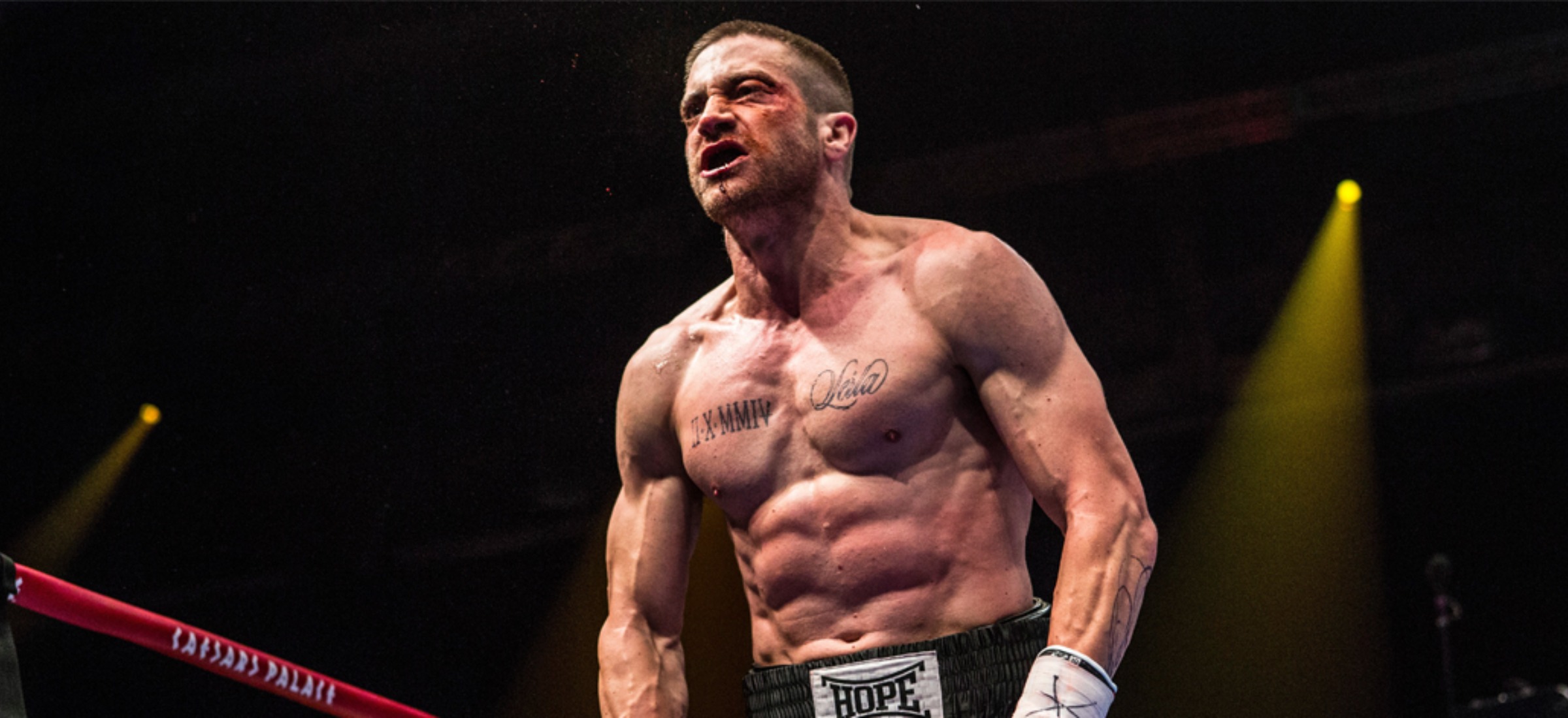 bartkowiak netflix podobne mma boks fighter