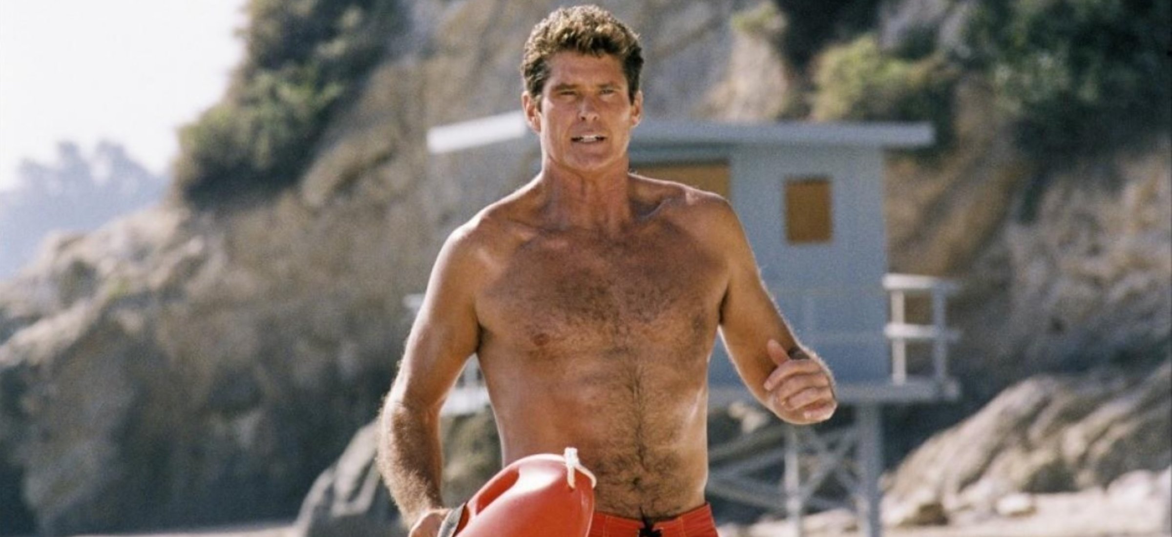 david hasselhoff w polsce serial