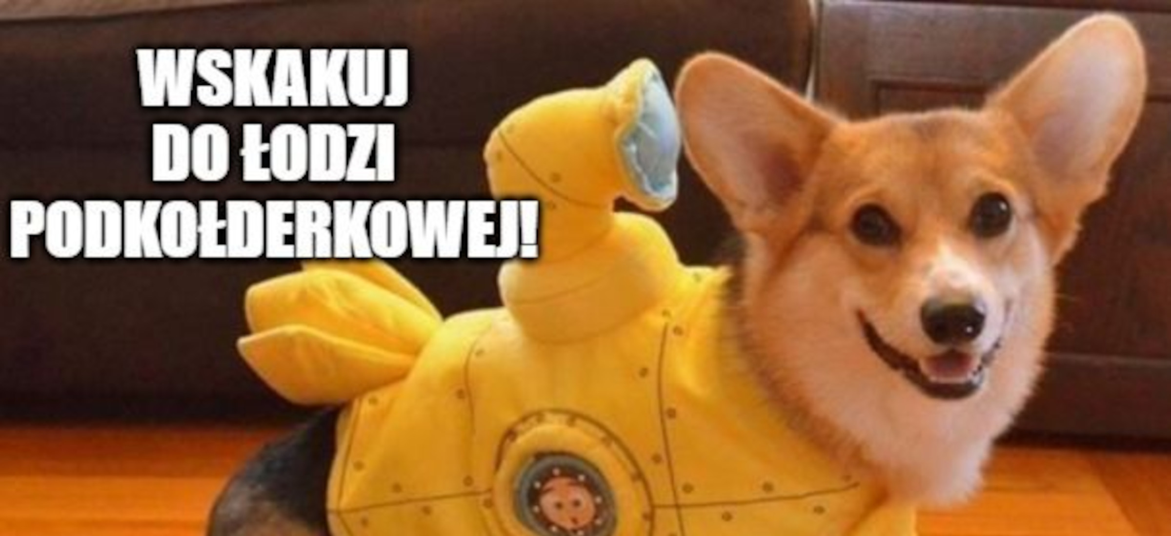 mlodziezowe slowo roku 2021 nominacje lista