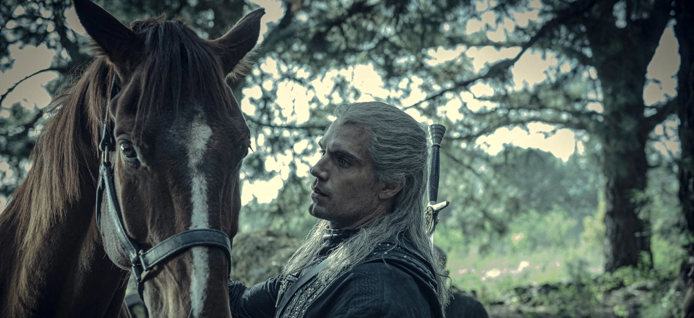 wiedźmin netflix 2 sezon blood origin animacje