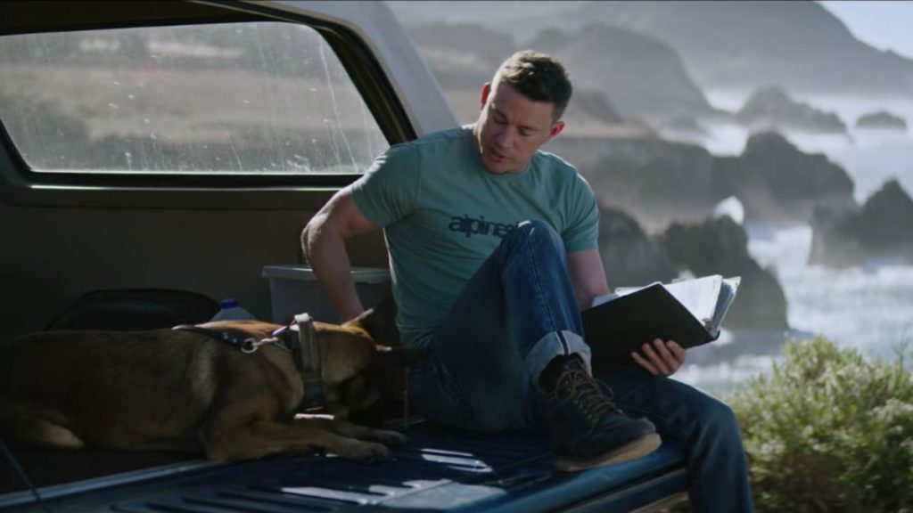 pies film 2022 recenzja opinie seanse kino premiera channing tatum class="wp-image-1897189"
