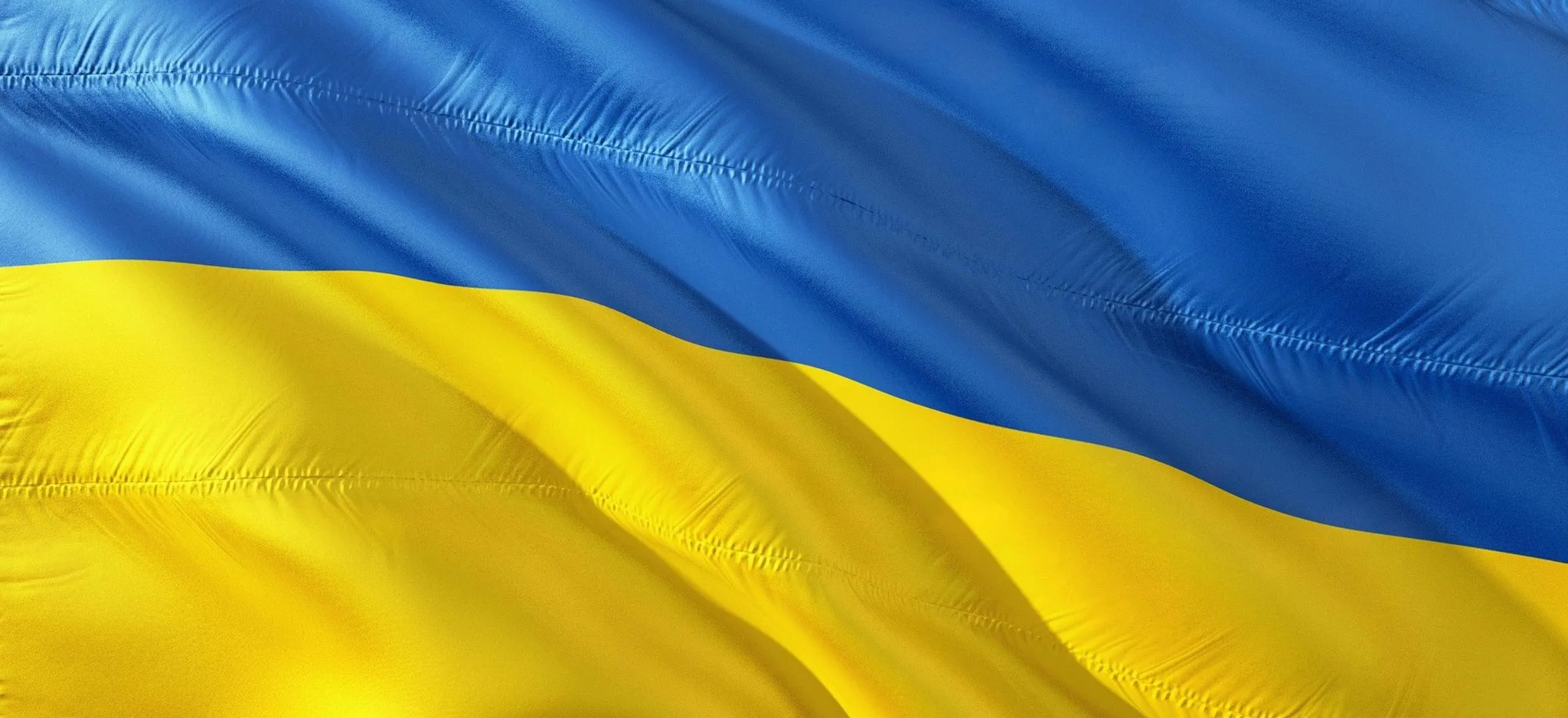 ukraina wsparcie artyści vera framiga