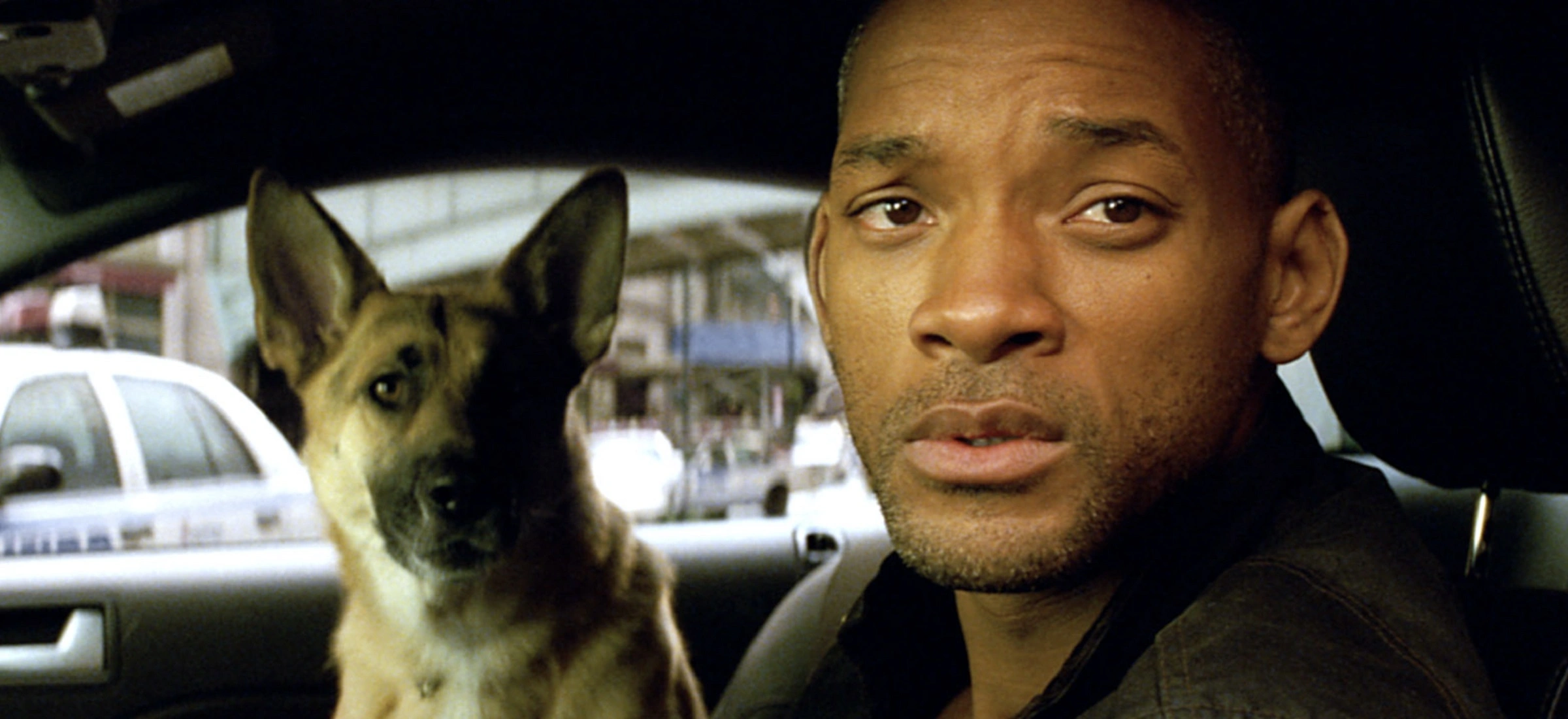 cena paliwa w polsce usa jestem legendą will smith