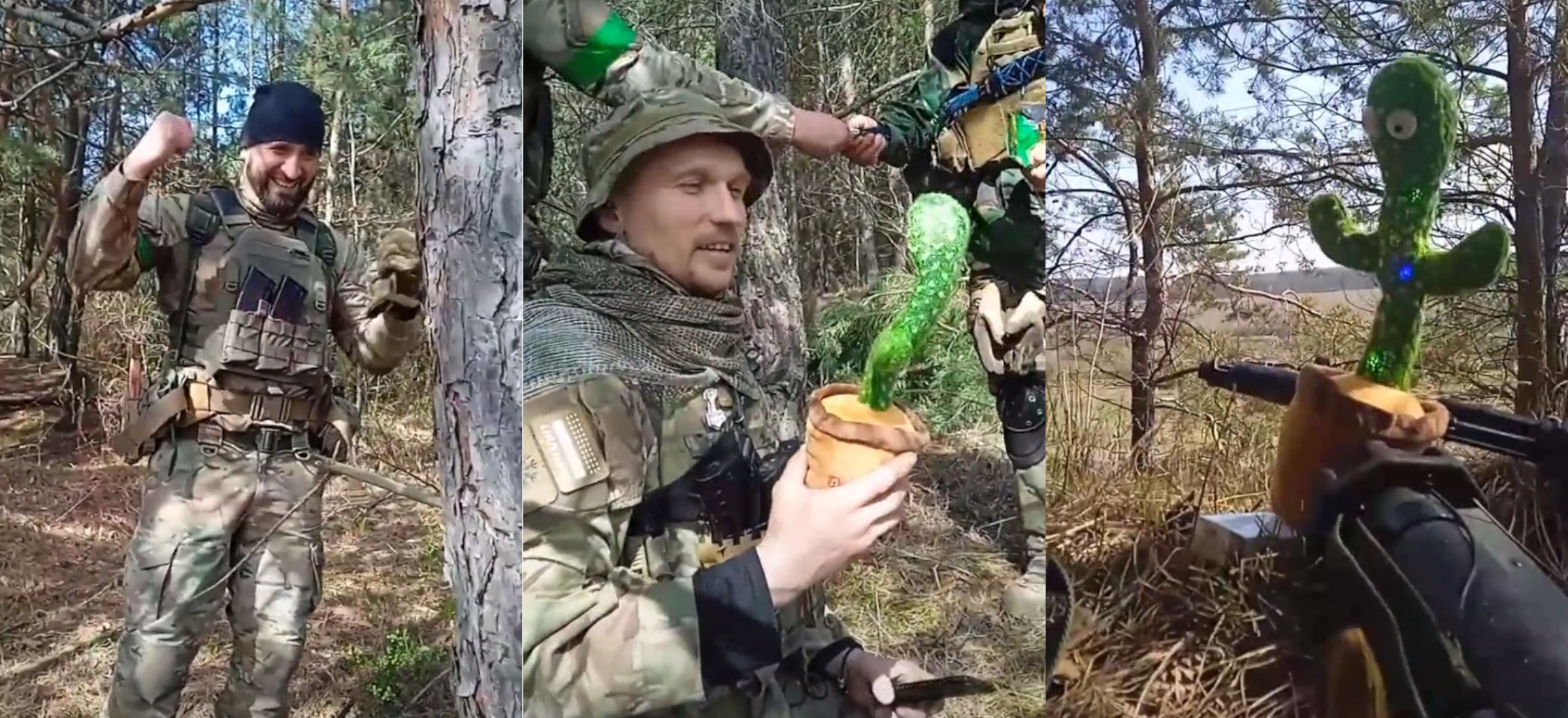 kaktus cypis zolnierze ukraina filmik