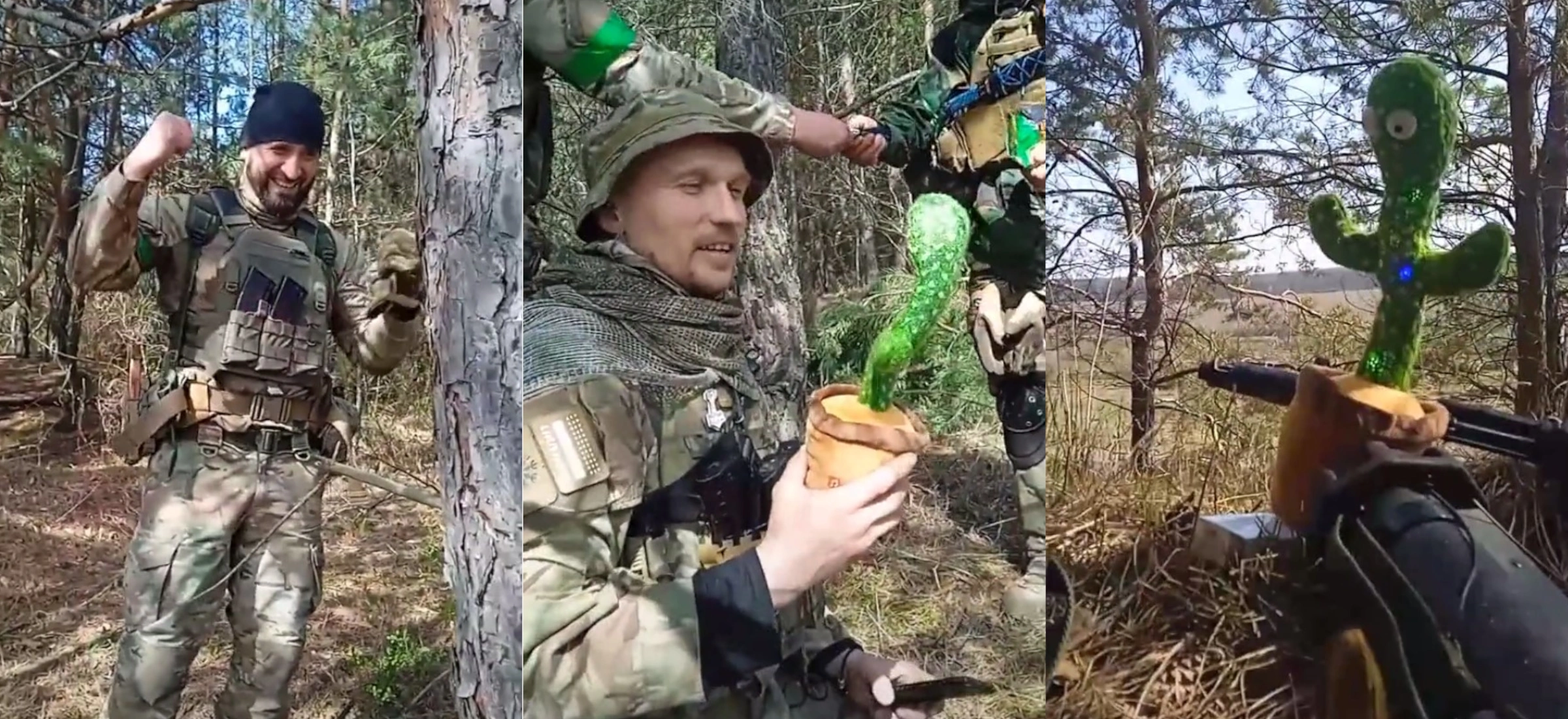 kaktus cypis zolnierze ukraina filmik