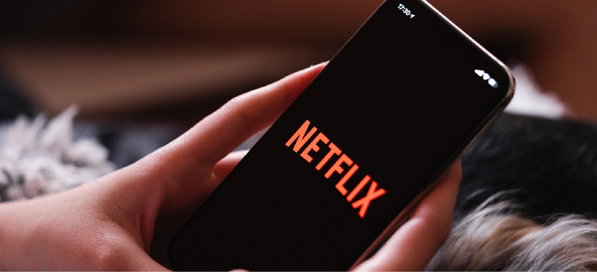 netflix nowosci kryminal