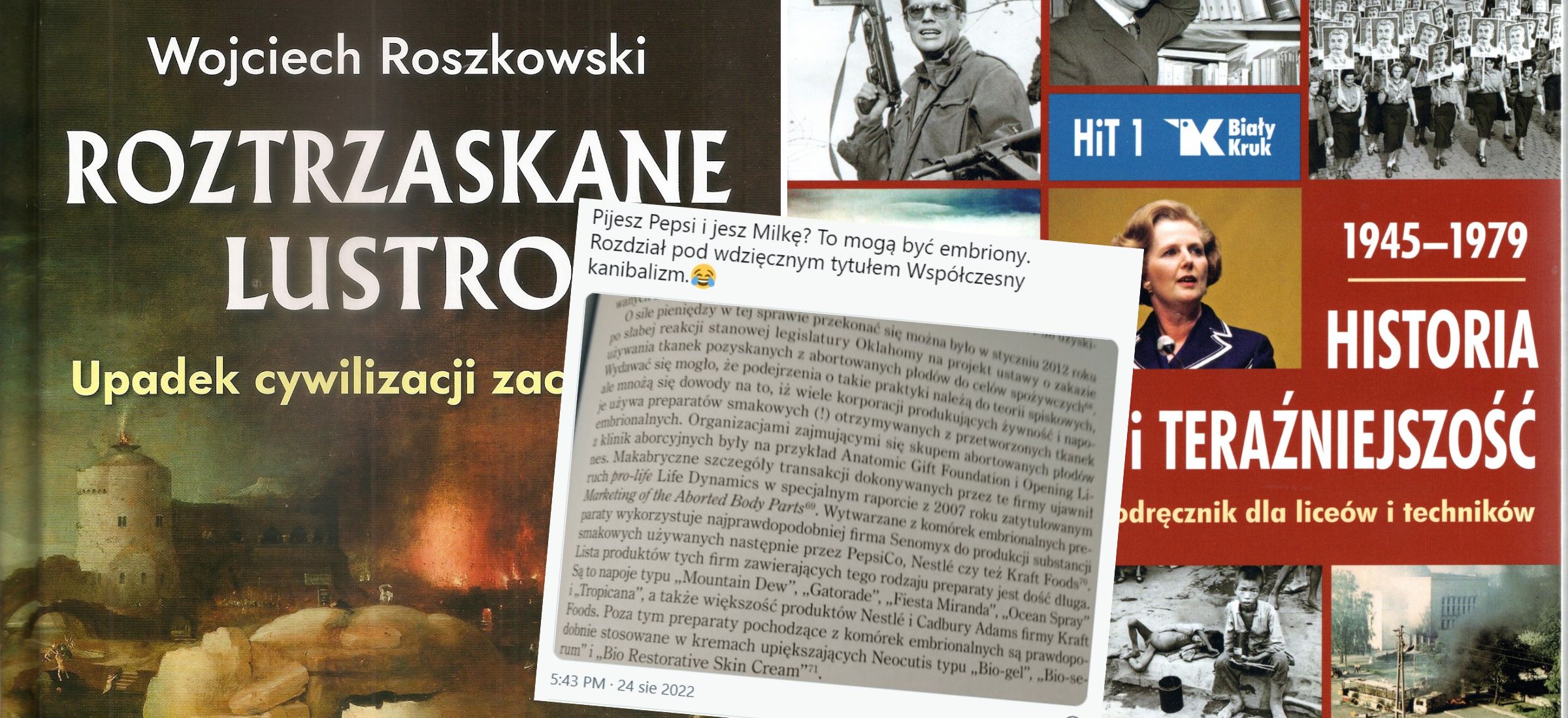 roszkowski hit in vitro embriony muzyka roztrzaskane lustro
