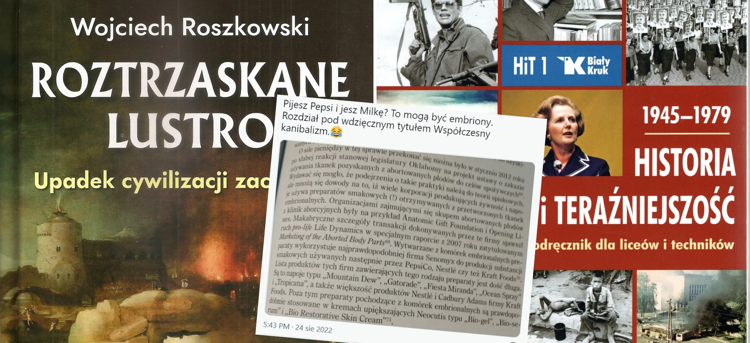 roszkowski hit in vitro embriony muzyka roztrzaskane lustro