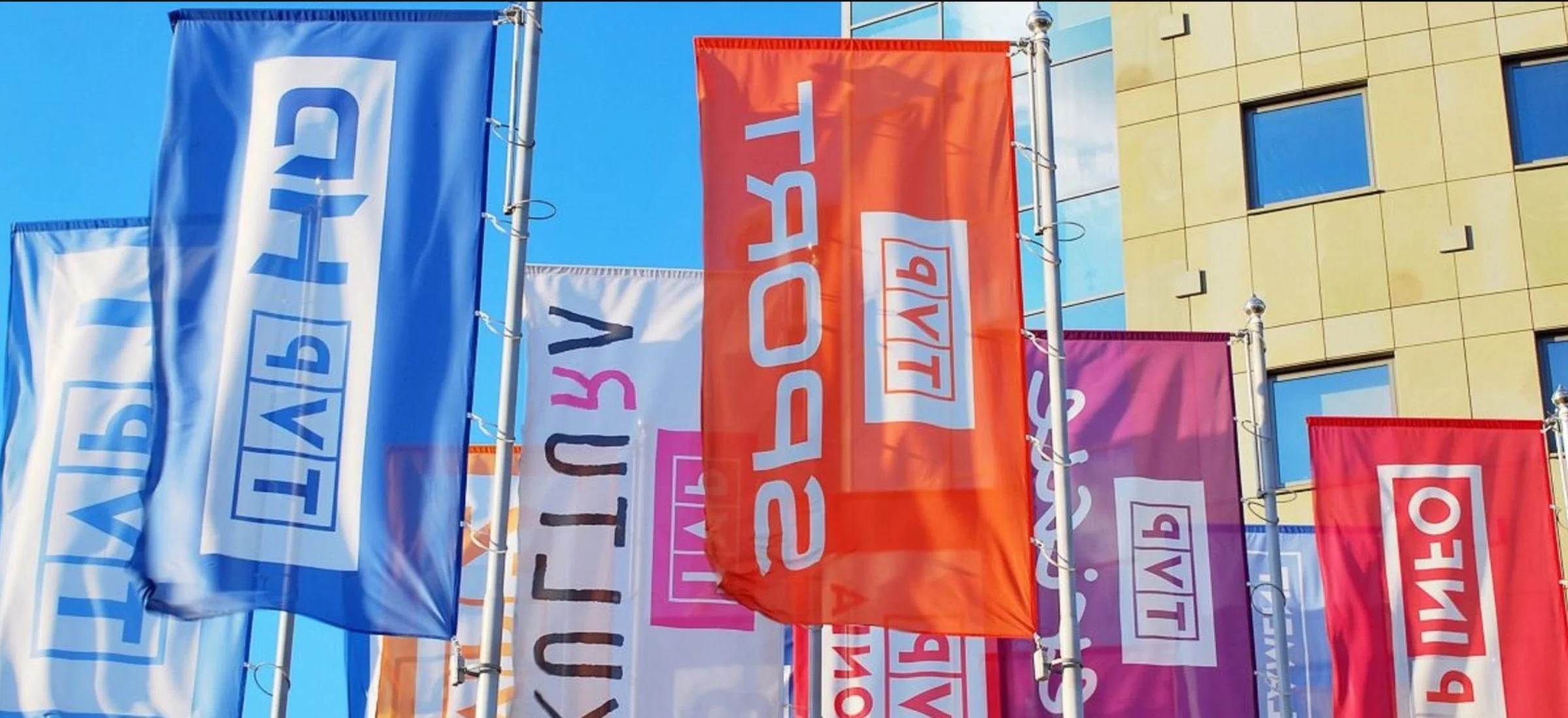 tvp prezes disco polo koncert