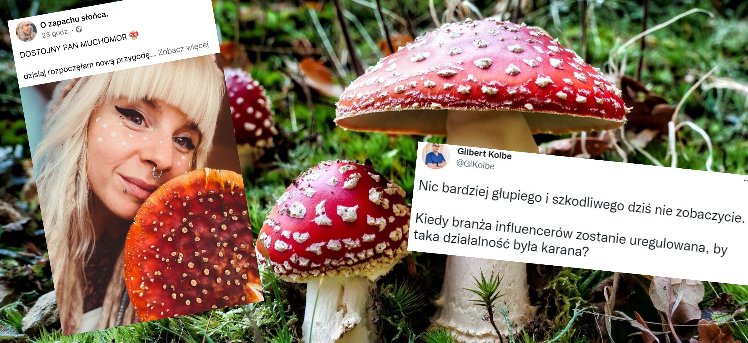 muchomor czerwony jedzenie grzyby halucynogenne trujące narkotyki