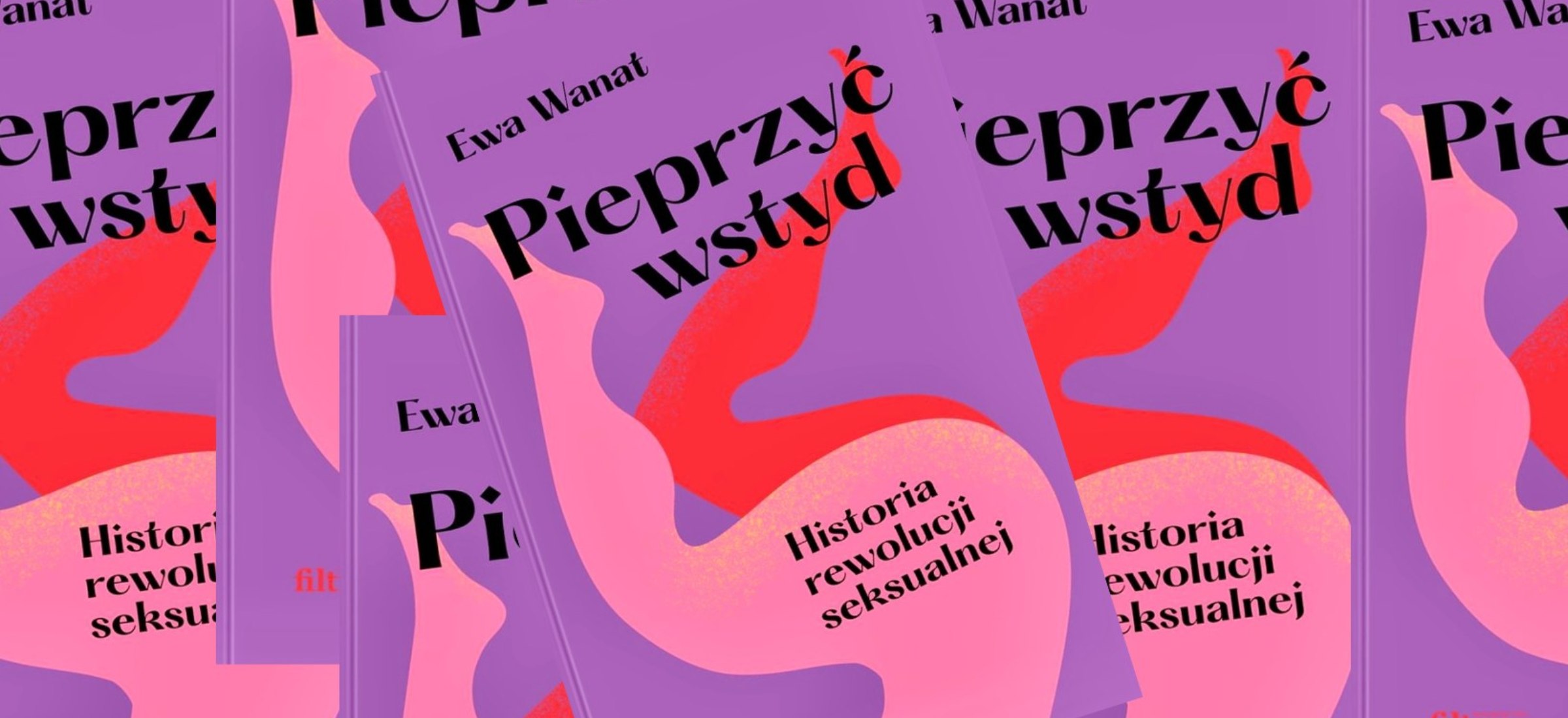 pieprzyć wstyd ewa wanat wywiad