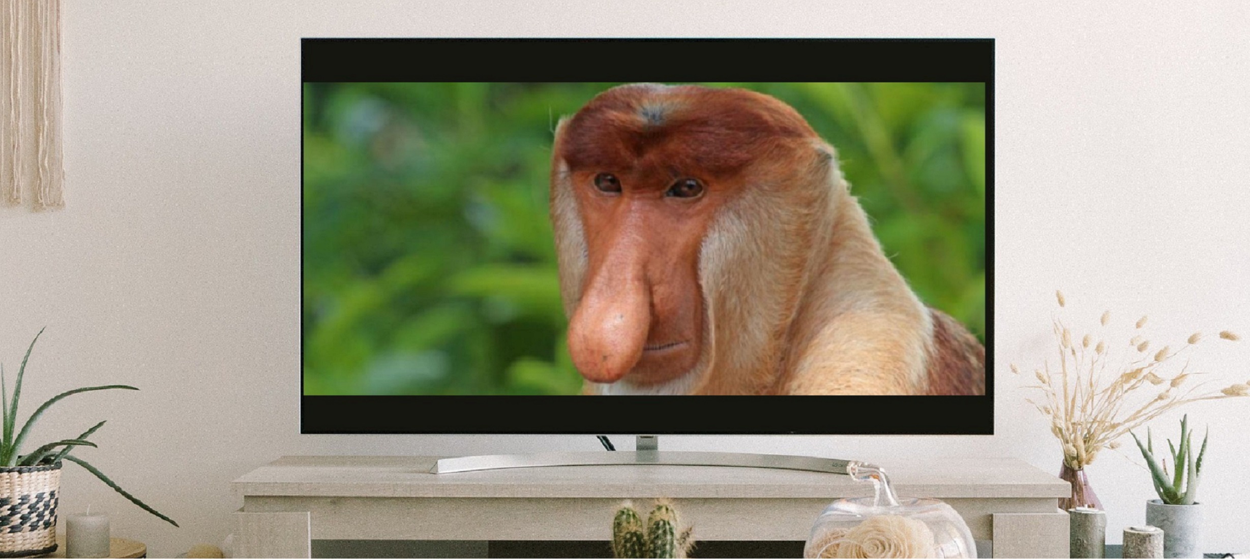 darmowy serwis vod