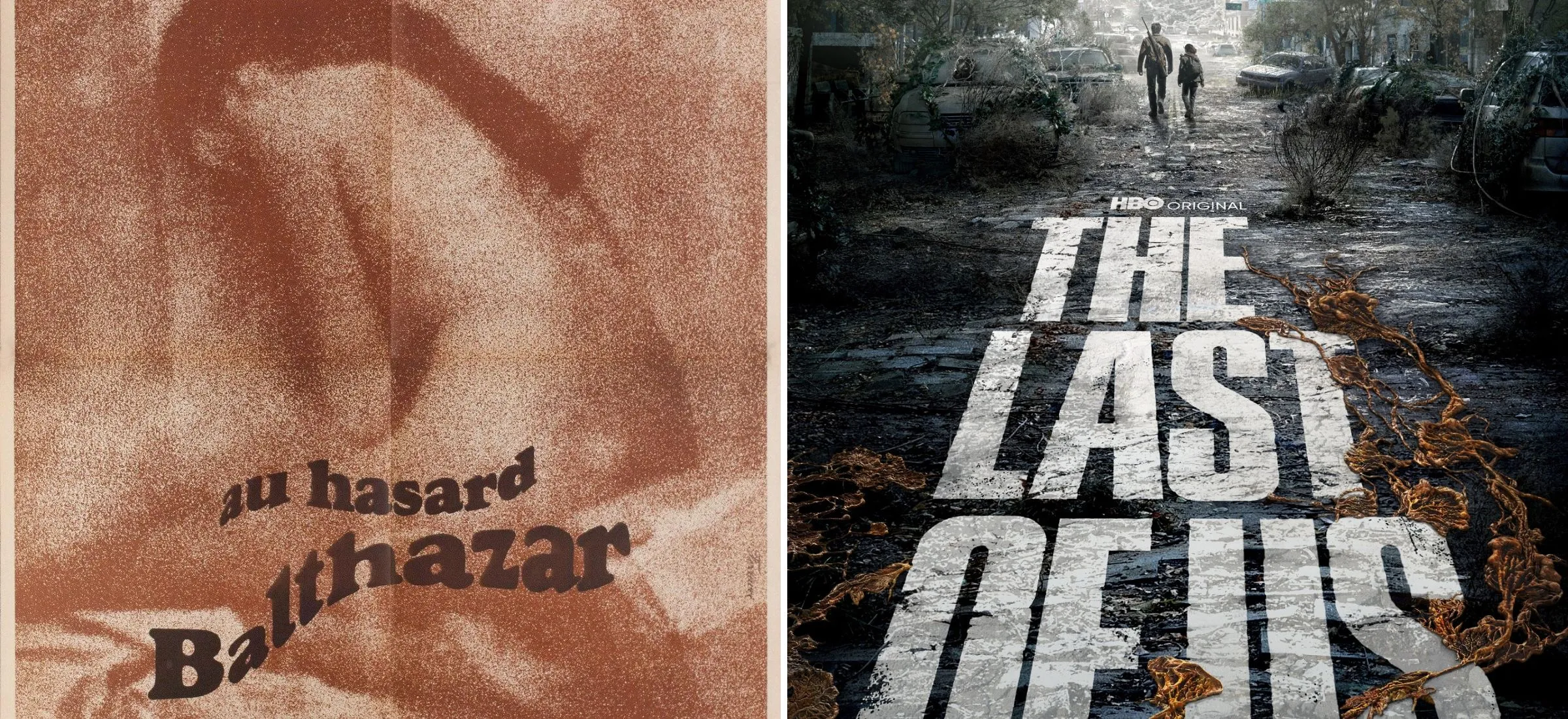 hbo max filmy seriale nowości premiery last of us baltazarze