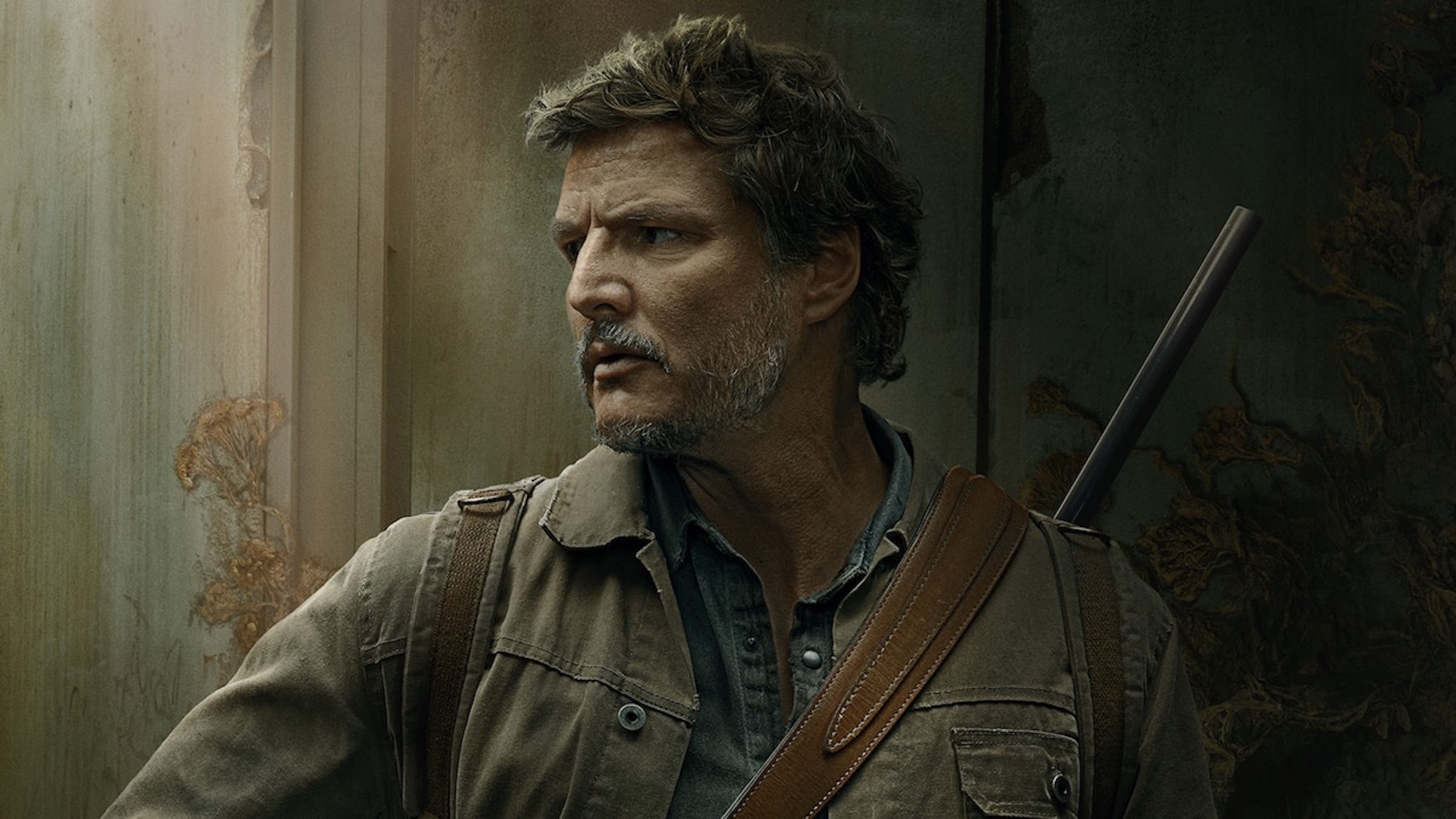 the last of us serial hbo max opinie