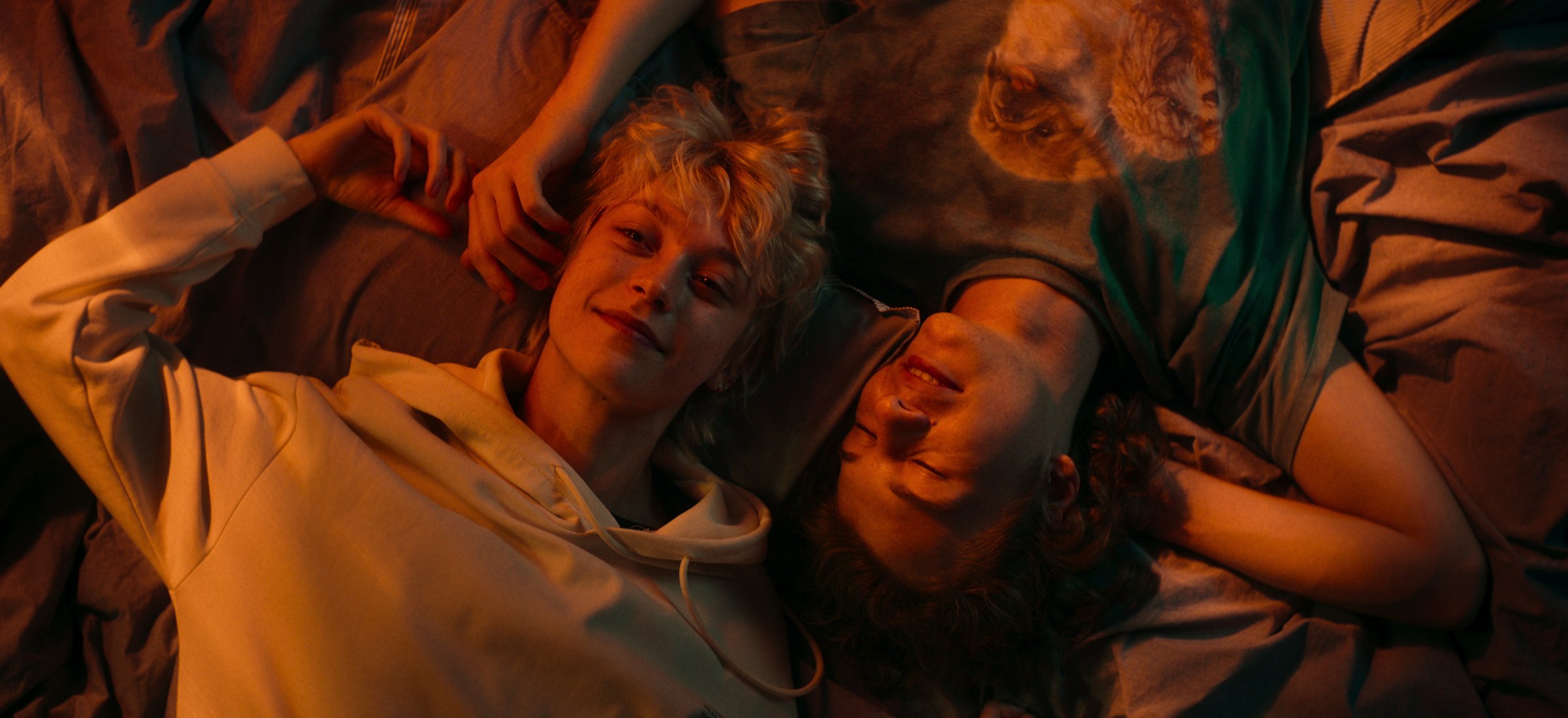 fanfik netflix polskie kino zwiastun premiera