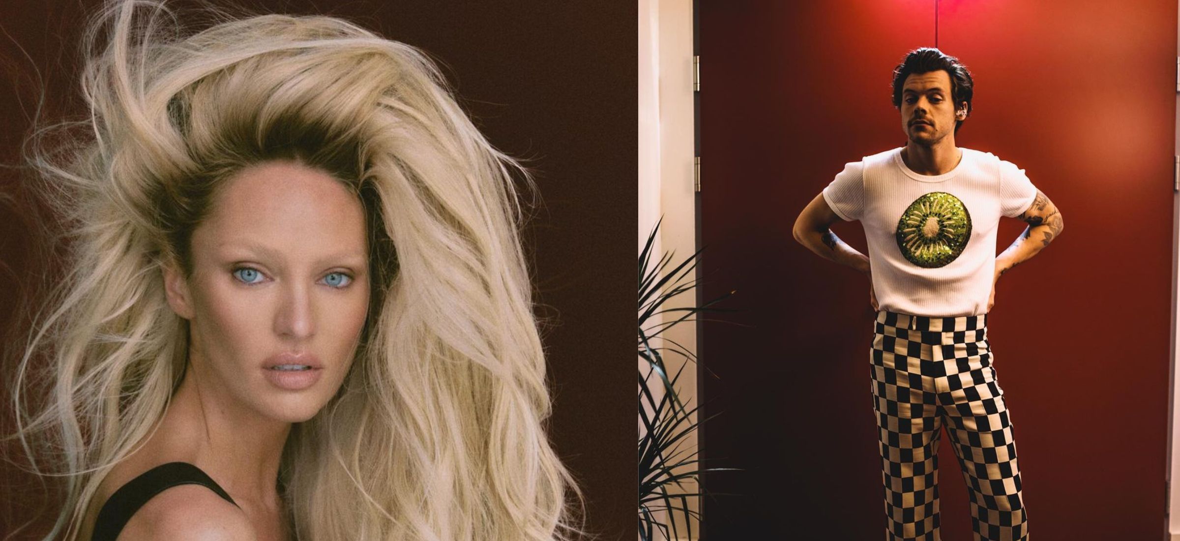 Harry Styles łączony z modelką VS