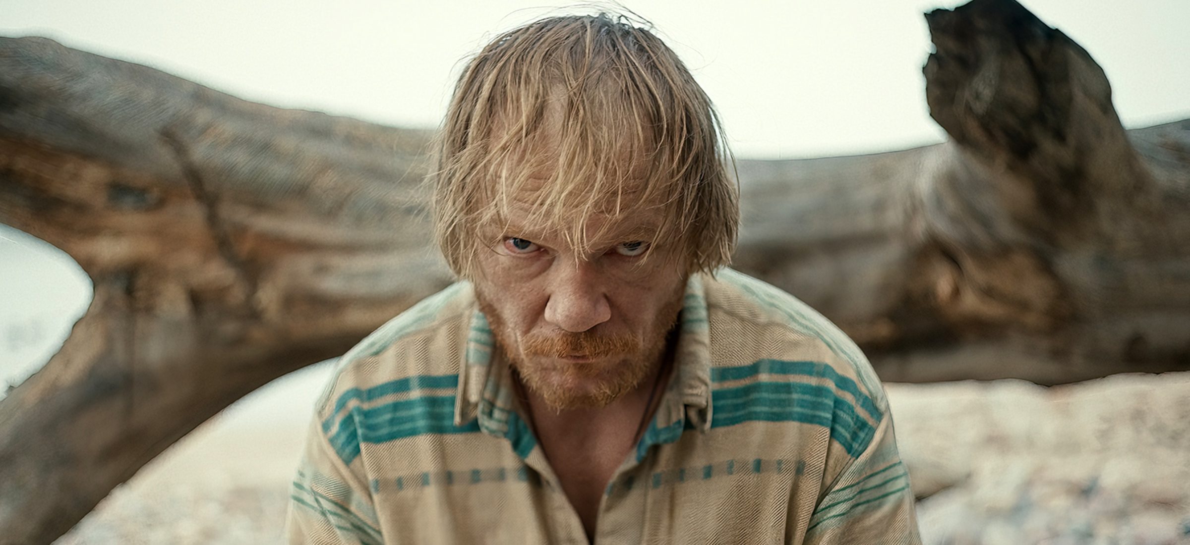 rój film polskie kino premiera