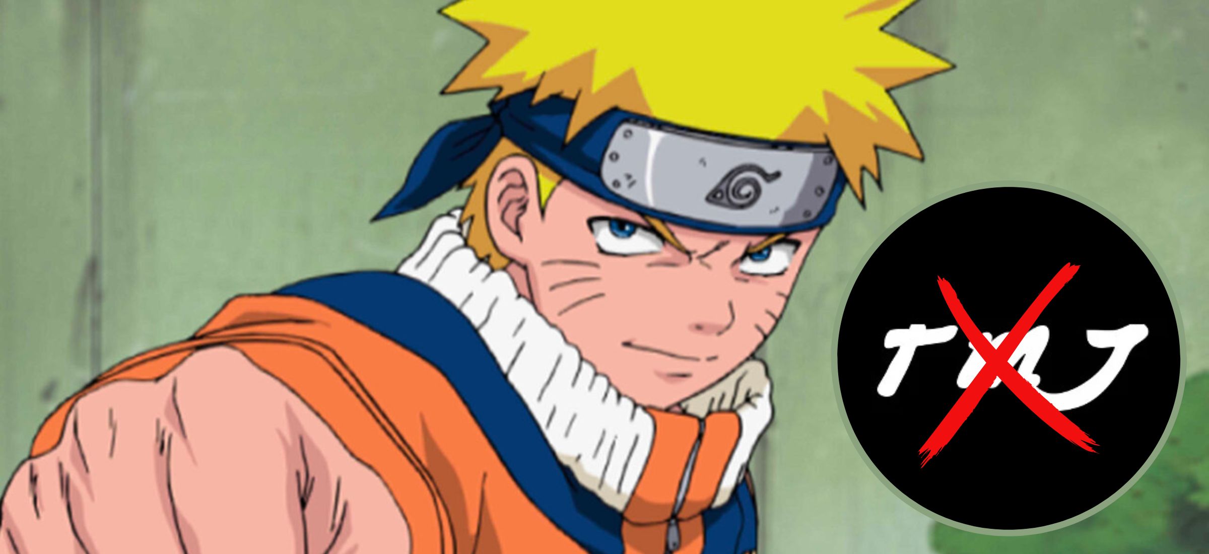 Popularny serwis anime kończy działalność. Mówią, że powodem zamknięcia jest "zmieniające się prawo"