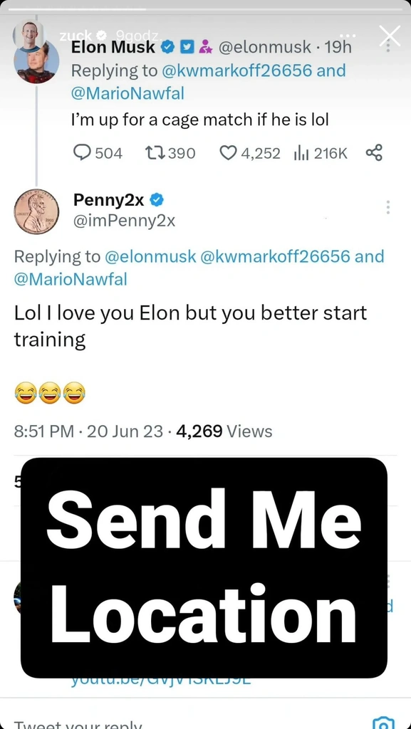 elon musk mark zuckerberg walka klatka fame mma twitter instagram