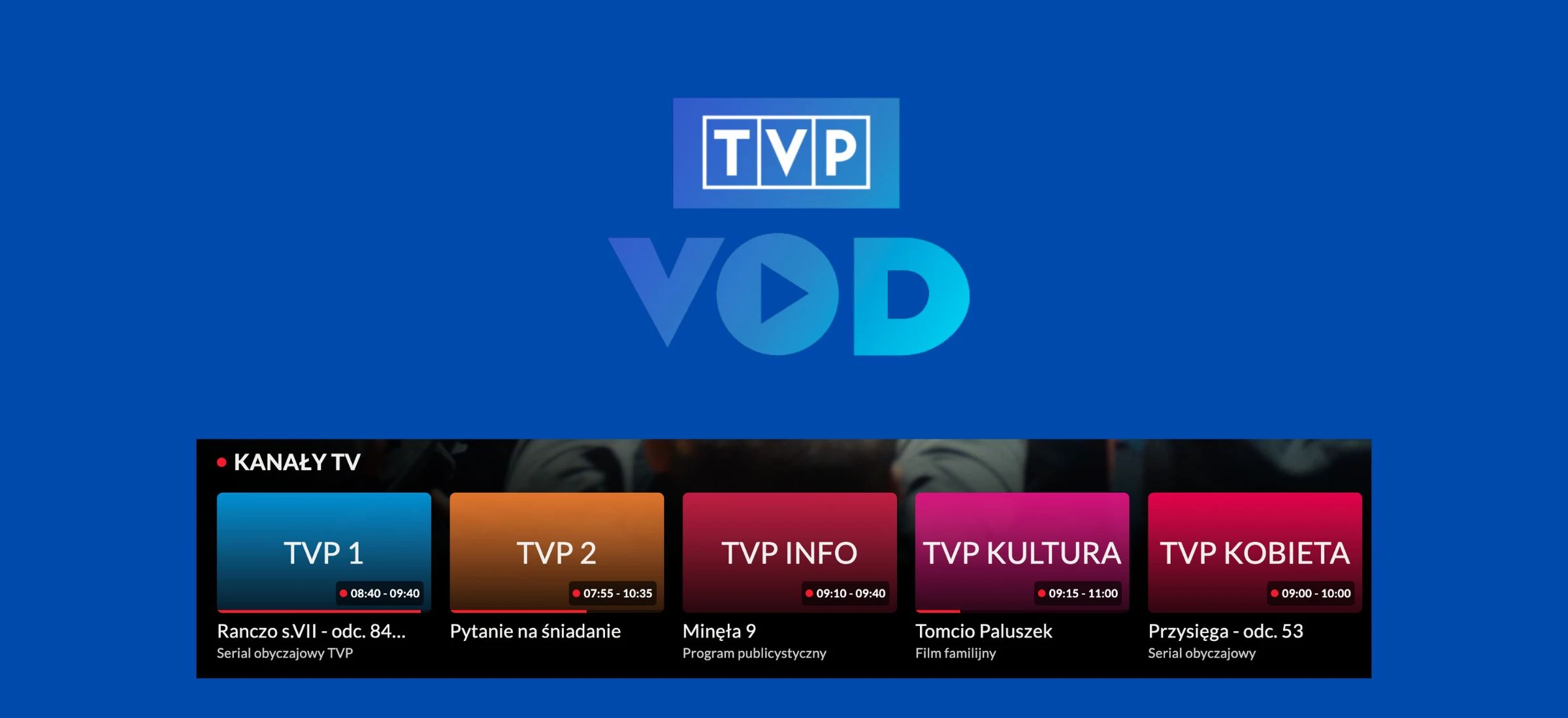 Jak oglądać TVP na żywo? Wreszcie da się to zrobić w aplikacji