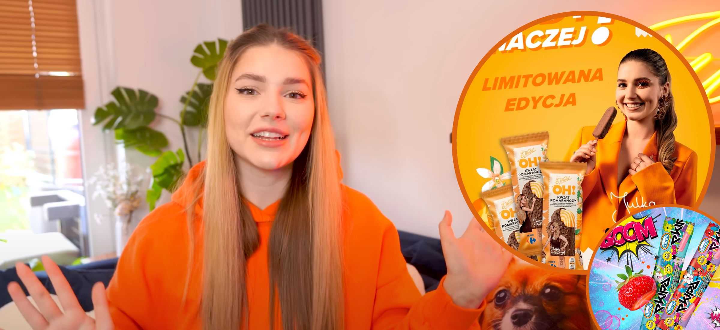 Czy lody Julii Żugaj powtórzą sukces lodów Ekipy? Ich liczba będzie ograniczonaŚ